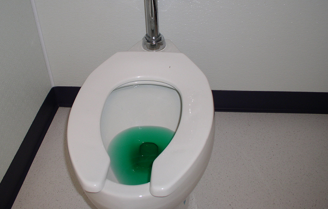 St Patrick's Day Kingston