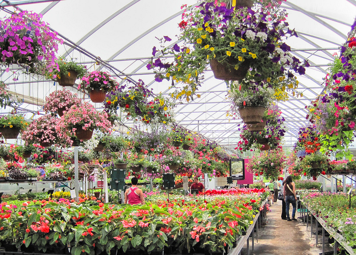 Guide to Kingston Garden Centre, Kingston, Ontario